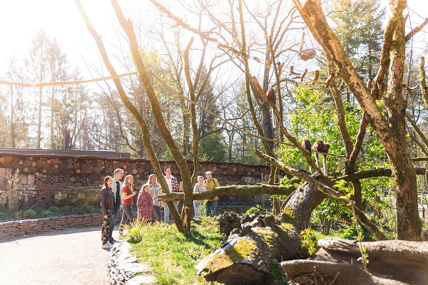 Exclusieve ochtendwandeling voor openingstijd